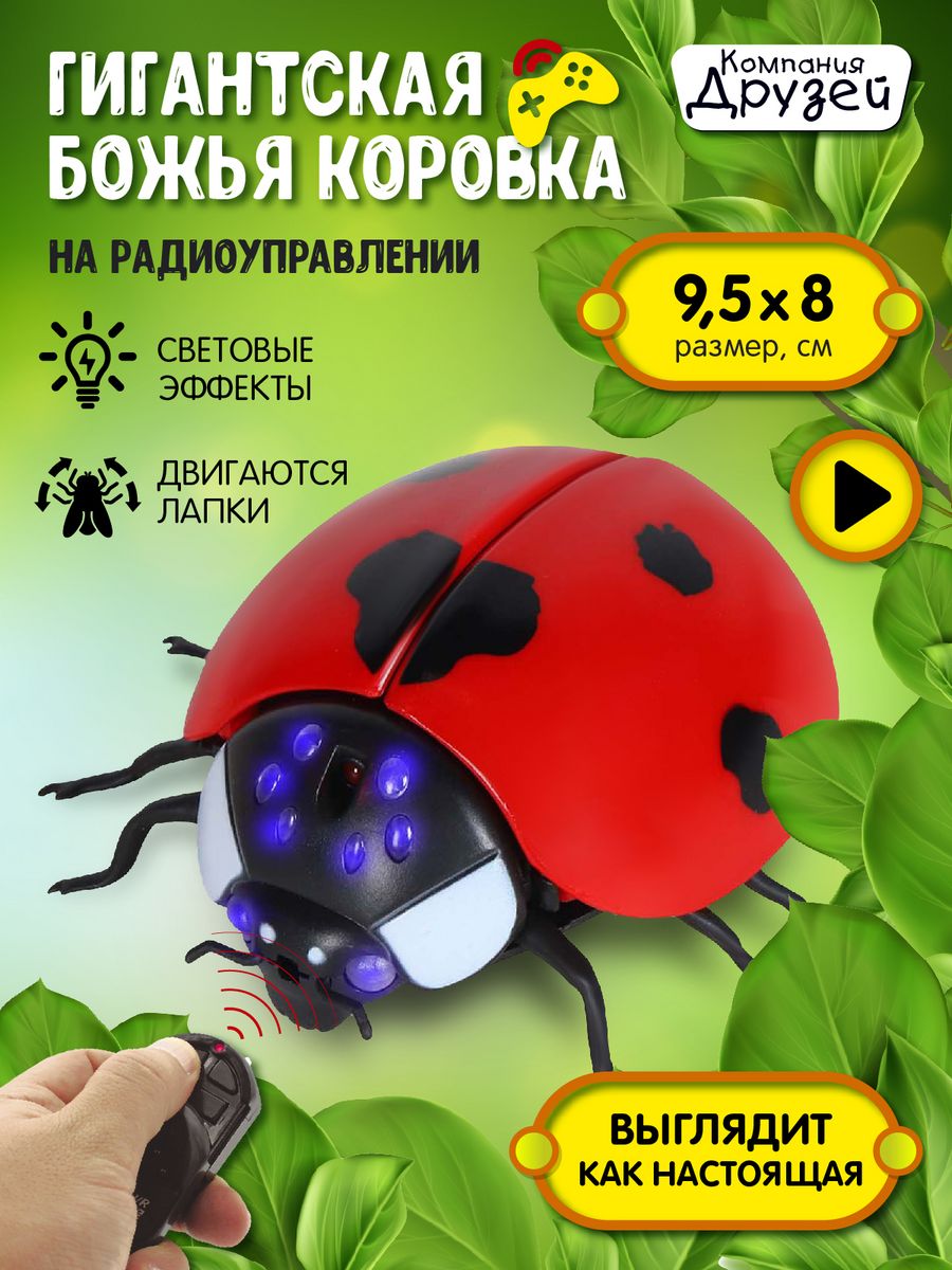 Гигантская божья коровка